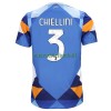 Maillot de Supporter Juventus Chiellini 3 Quatrième 2022-23 Pour Homme